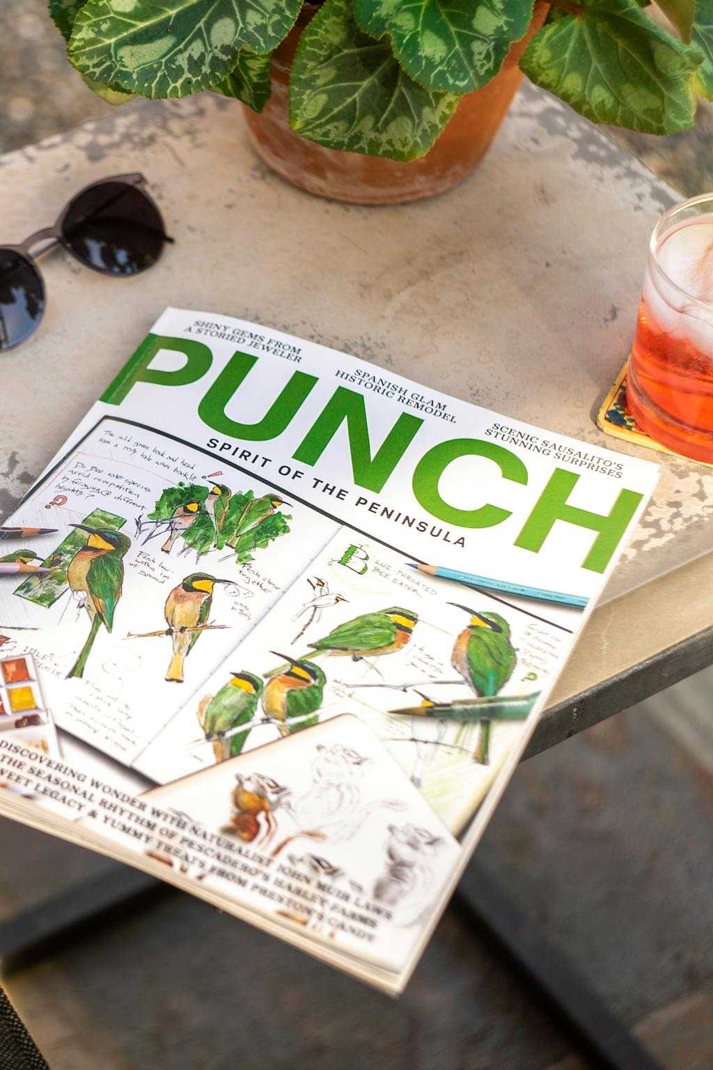 FGA in Punch Magazine