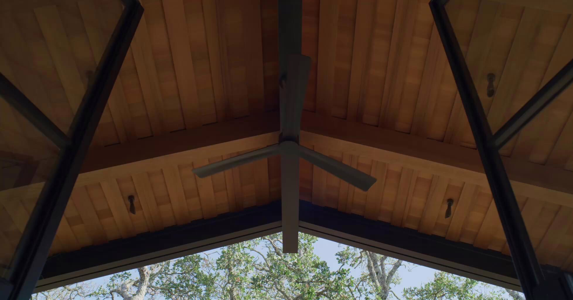 Poster video