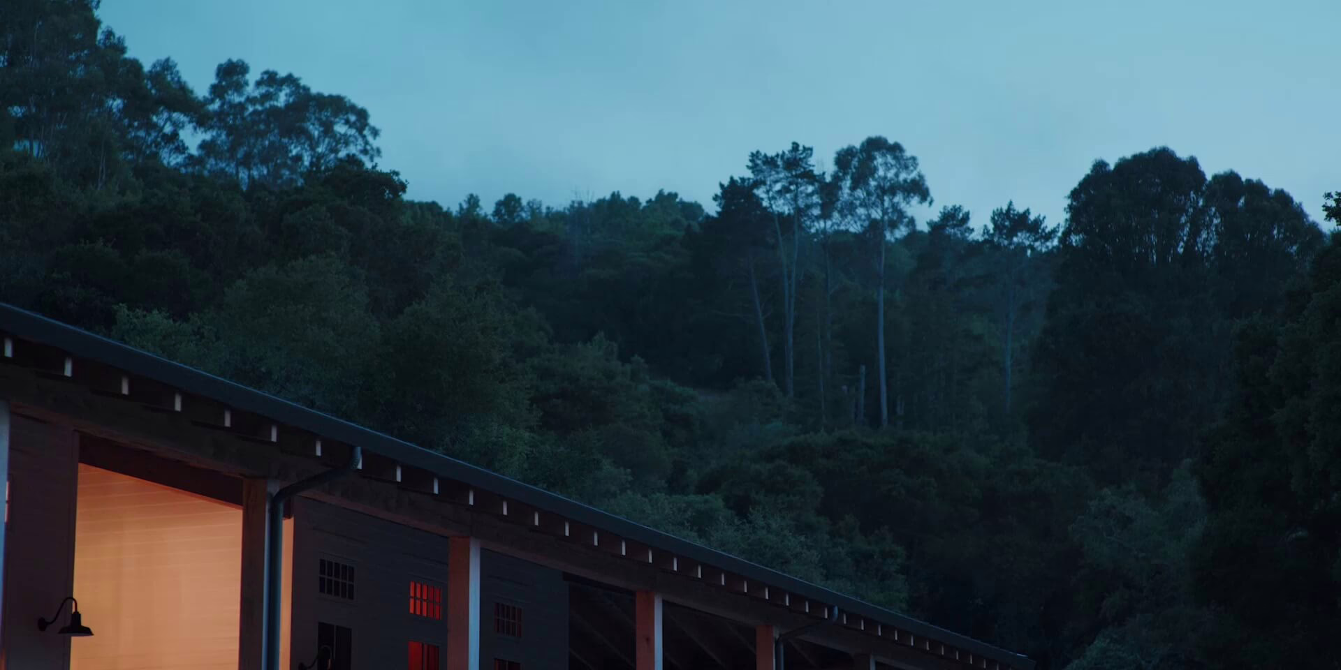 Poster video